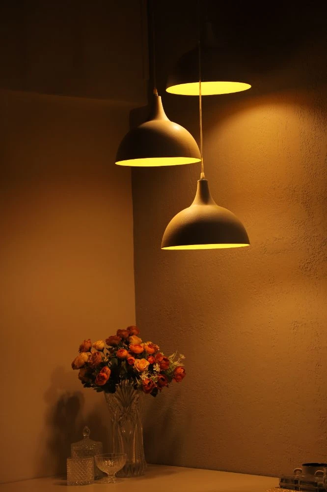 Luxe 4BHK Himalayan Range View - Madalsa Home