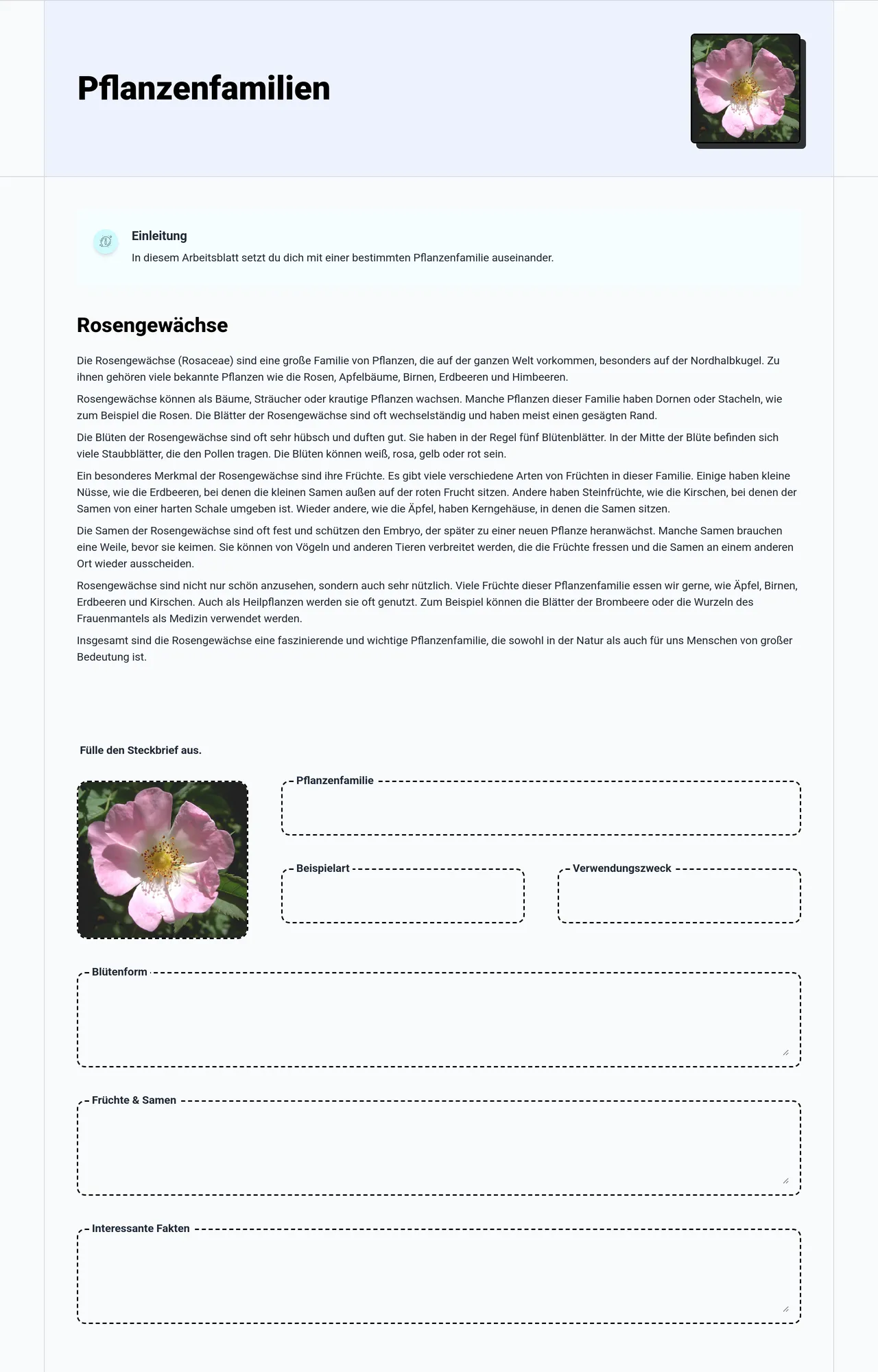 Pflanzenfamilien