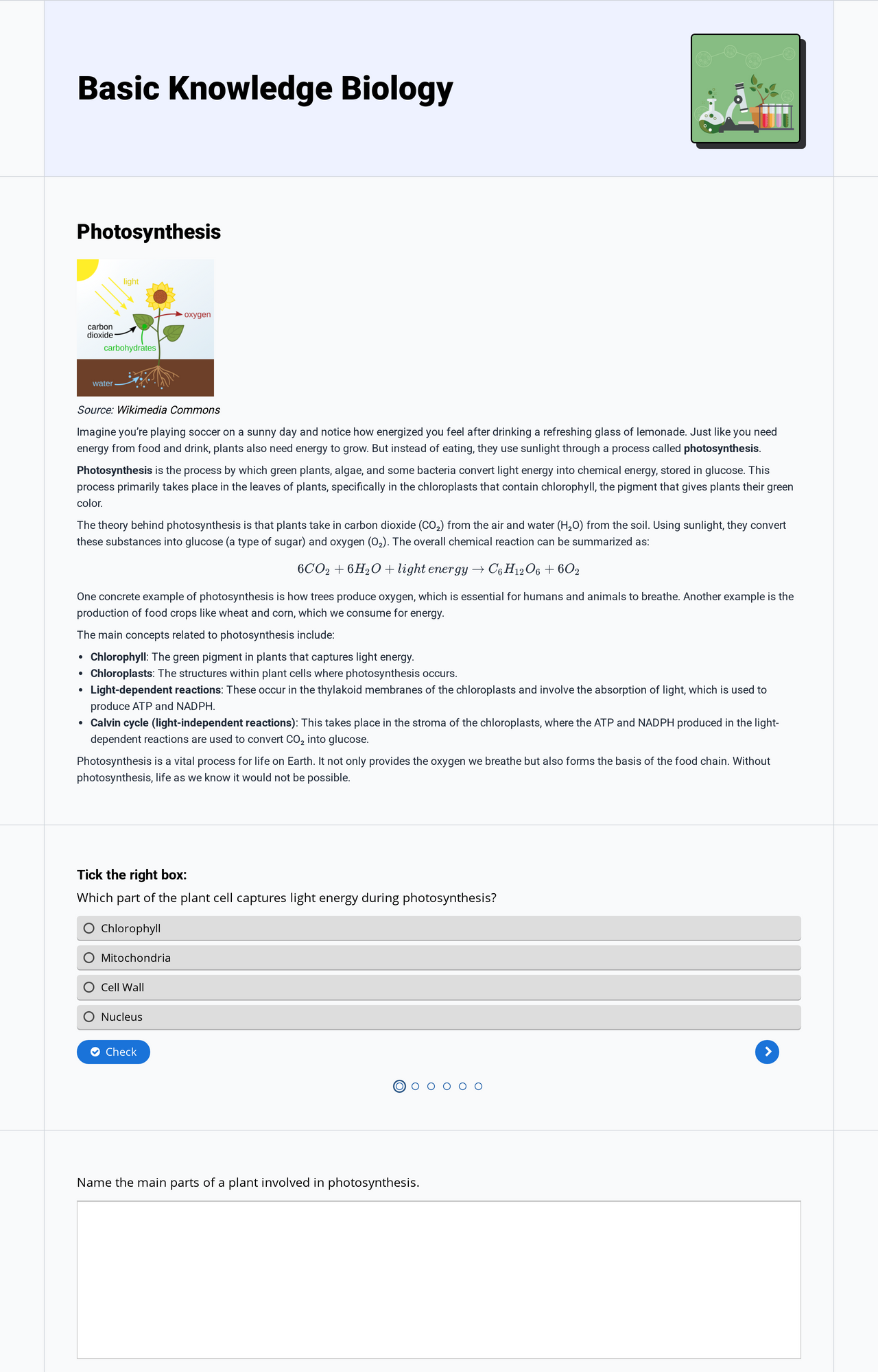 Basic Knowledge Biology
