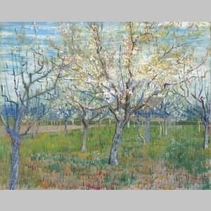 Овощна градина с цъфтящи кайсиеви дървета в онлайн галерия от Ван Гог