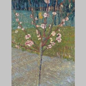 Бадемово дърво в цвят в онлайн галерия от Ван Гог