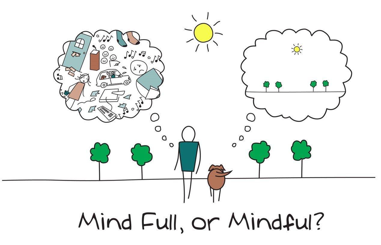Mindfulness - What is it? — Building Brains Together