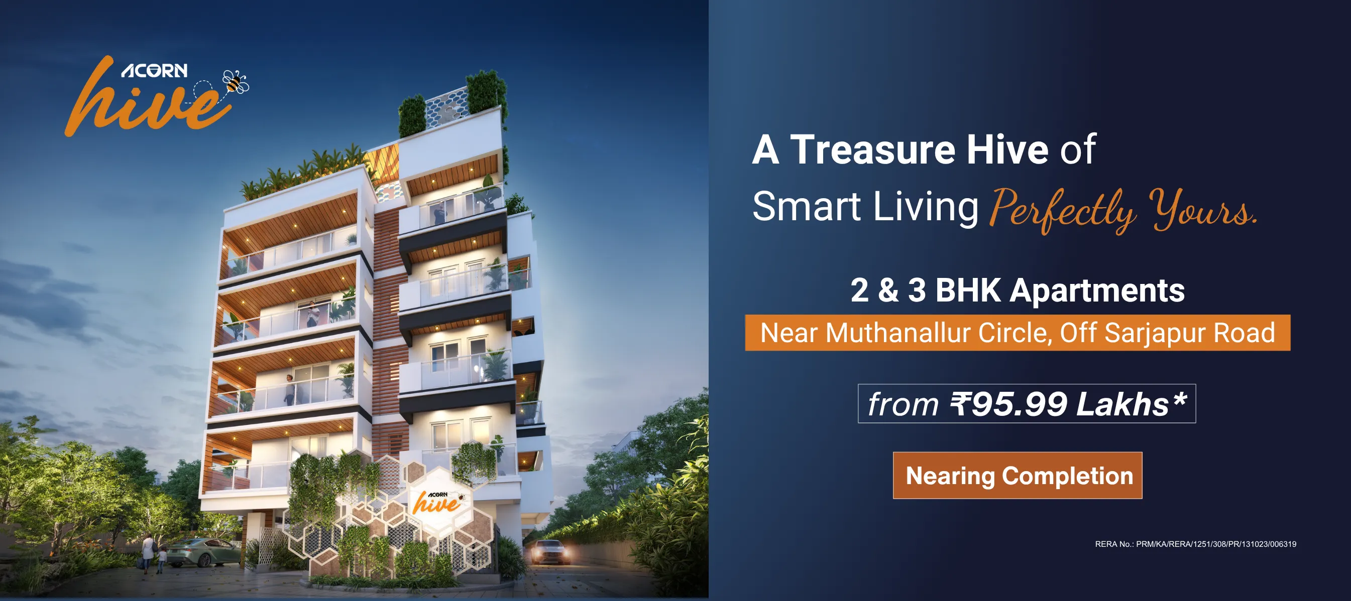 Acorn Hive - Desktop banner showcasing the project