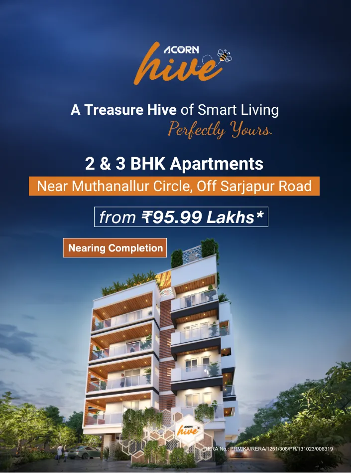Acorn Hive - Mobile banner showcasing the project