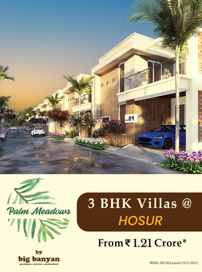 Big Banyan Palm Meadows - Mobile banner showcasing the project