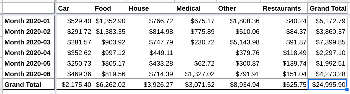 January to June 2020 expenses