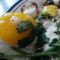 egg
