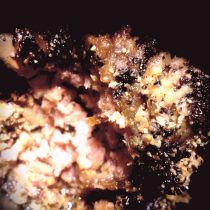 ground beef