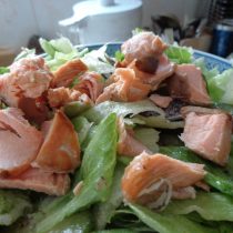 salmon salad