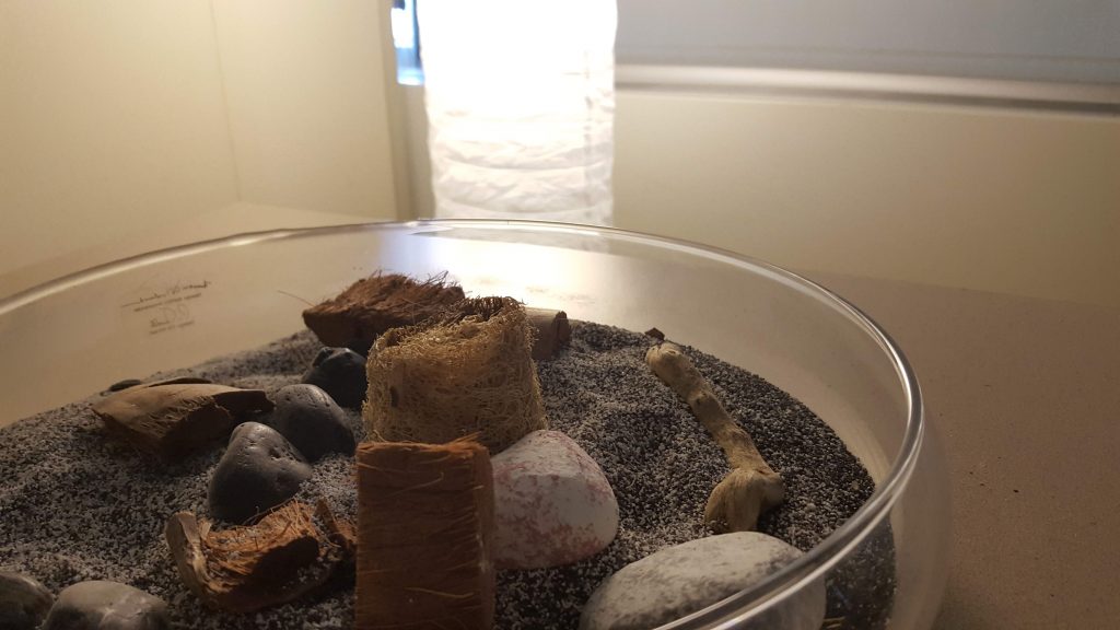 zen sandbox