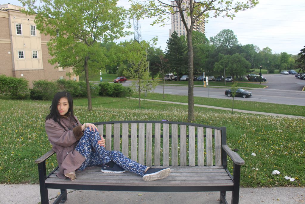 me spring bench park nature