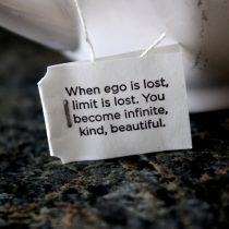 ego