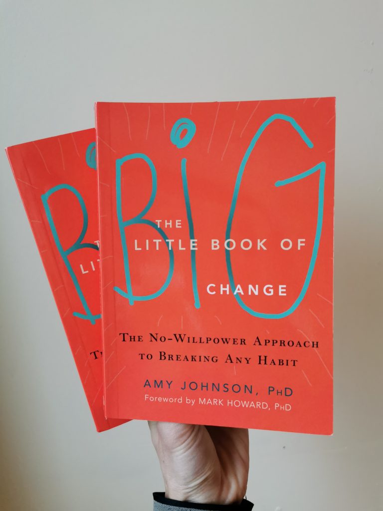 the little book of big change amy johnson