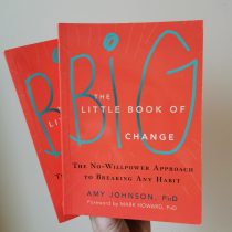 the little book of big change amy johnson