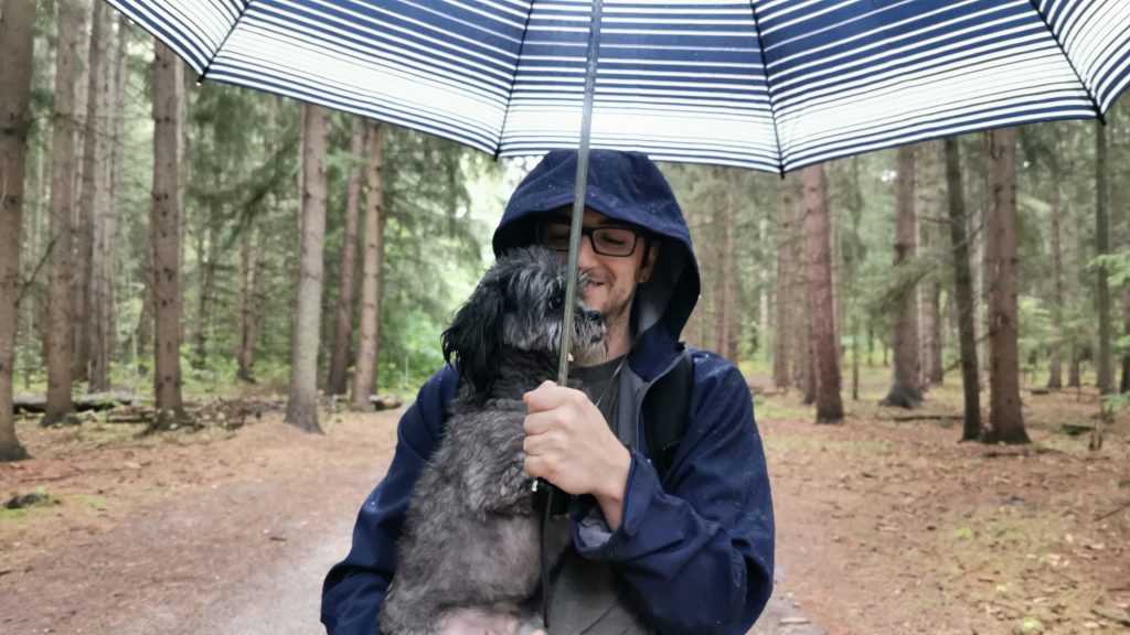 stormy dog zack rainy