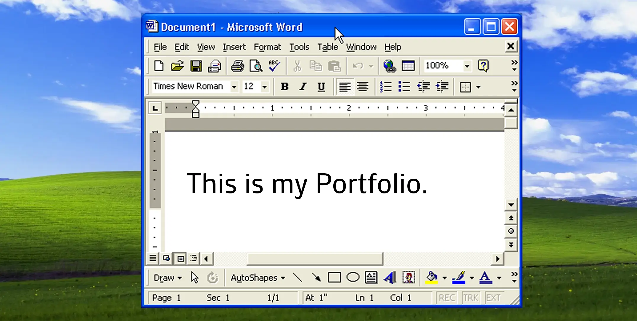 Portfolio project