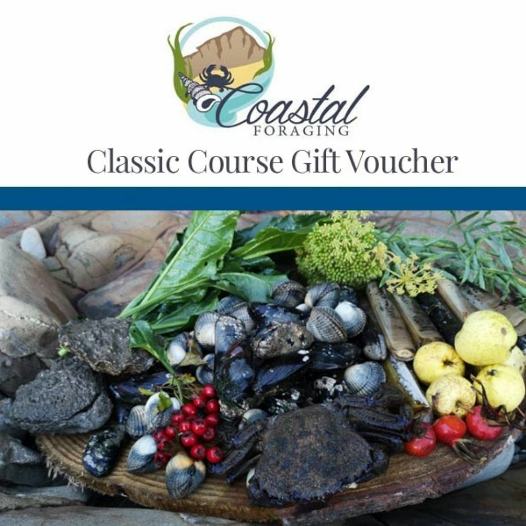 Coastal Foraging Gift Vouchers