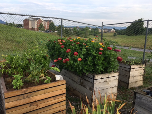 Community landscaping at The Glebe