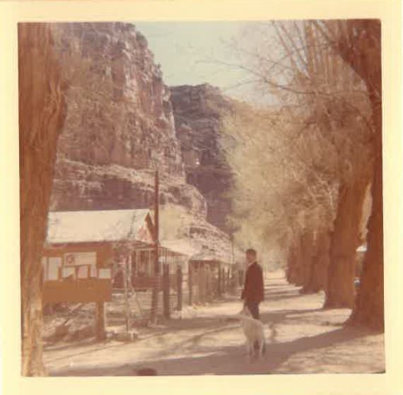 Old photo of cabins in Arizona