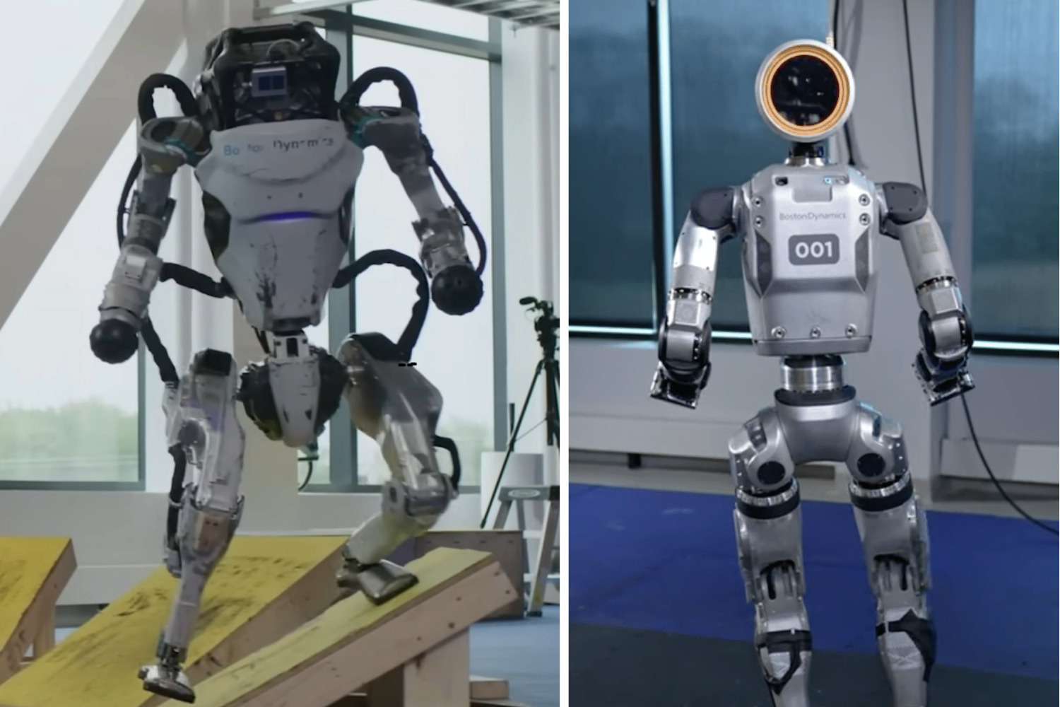 THE HUMANOID HUB