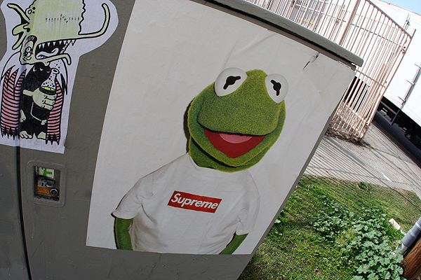 supreme_kermit_thehundreds.jpg