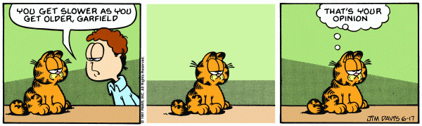 garfield_thehundreds_1.jpg