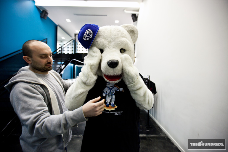 polarbear_thehundreds5