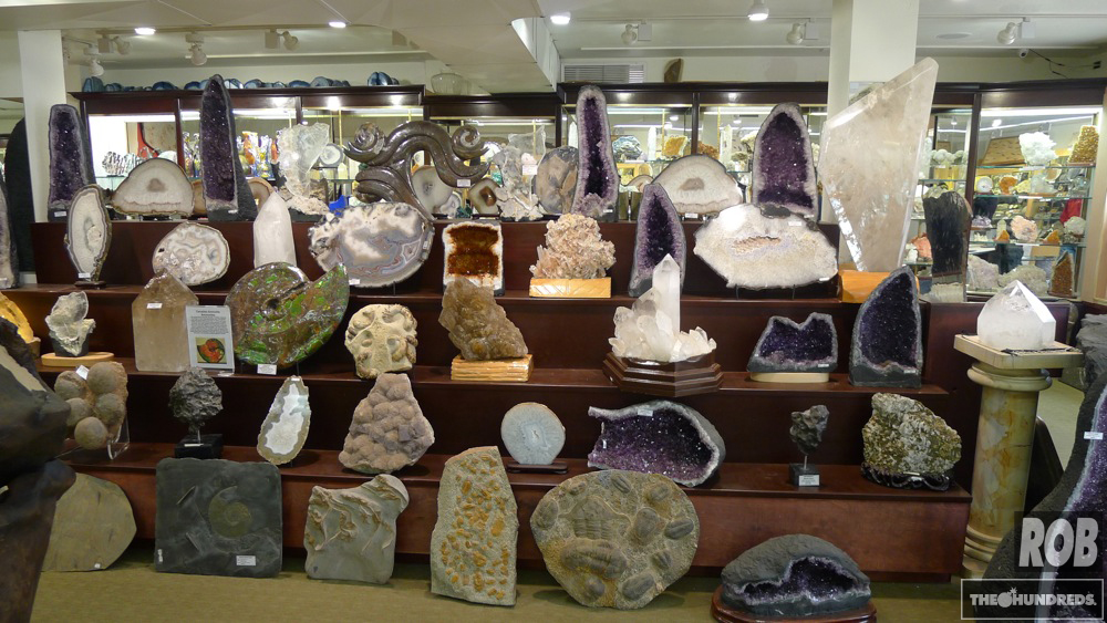 The World s Most Incredible Fossil and Mineral Shop The Hundreds