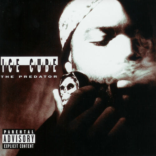 hip hop, top hip hop albums, 90s hip hop, ice cube, the predator, oshea jackson, NWA