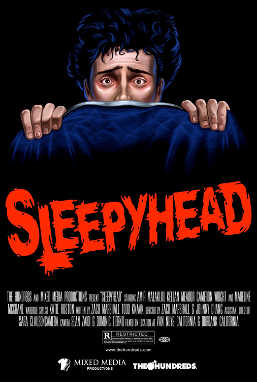 sleepyhead broken gl download