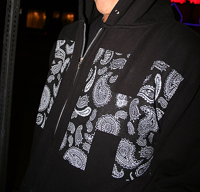 the hundreds paisley hoodie