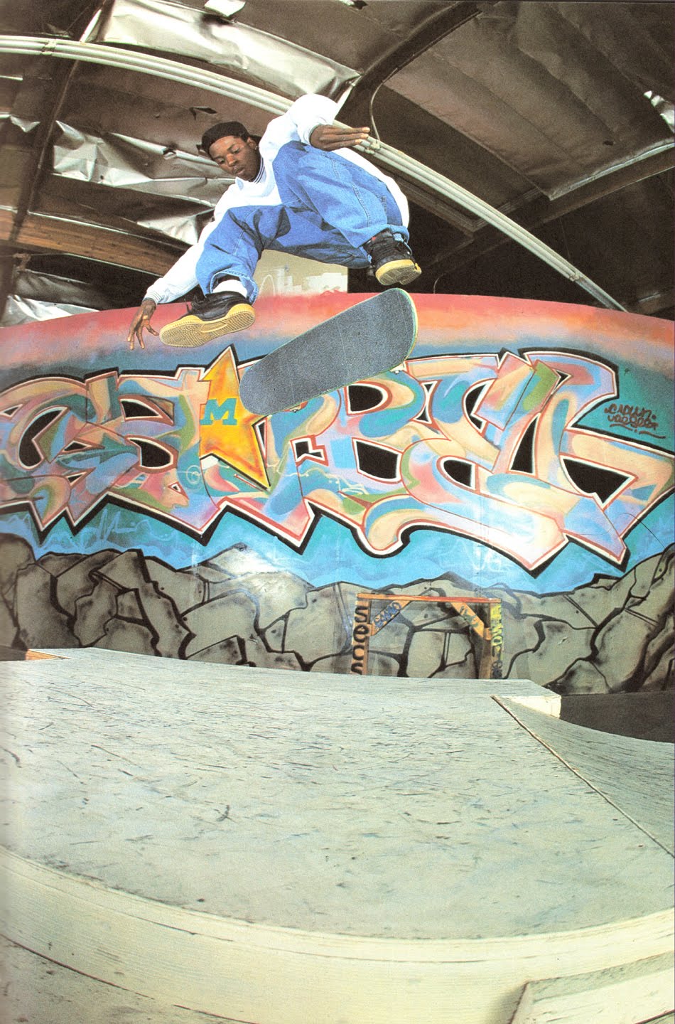 reebok skateboarding