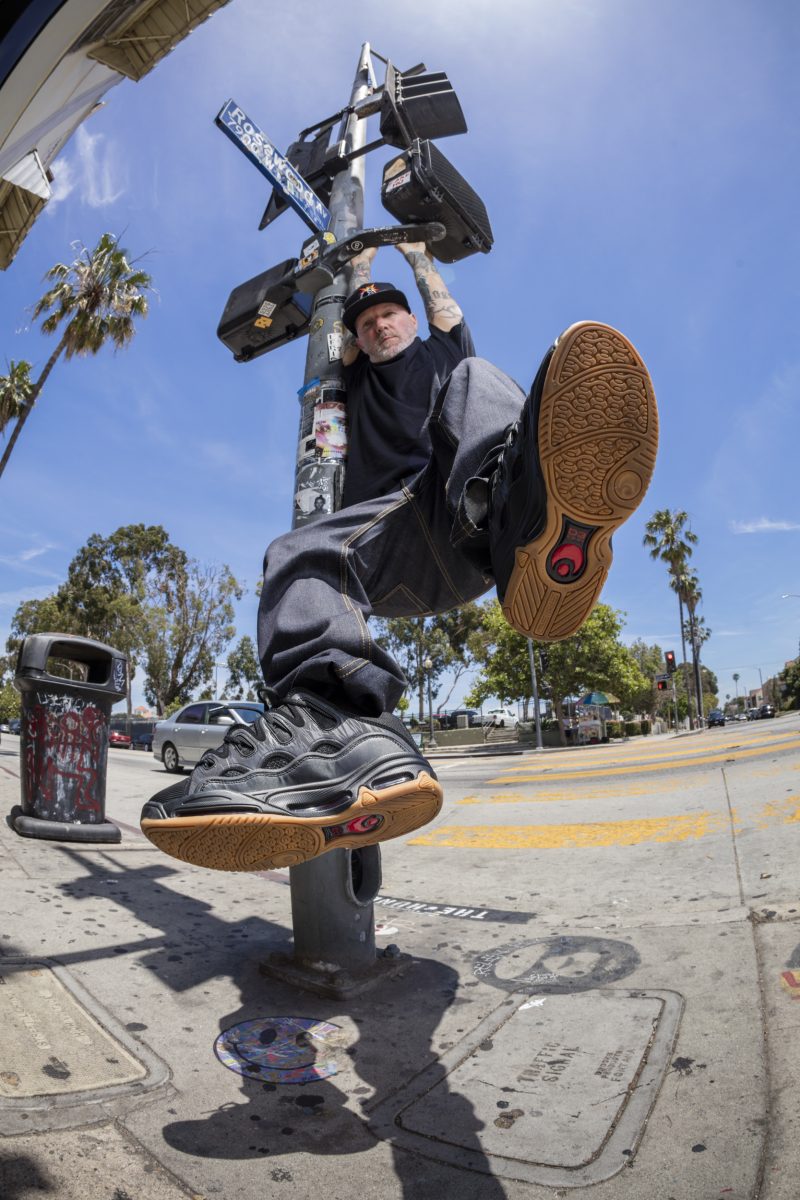 fat skate shoes