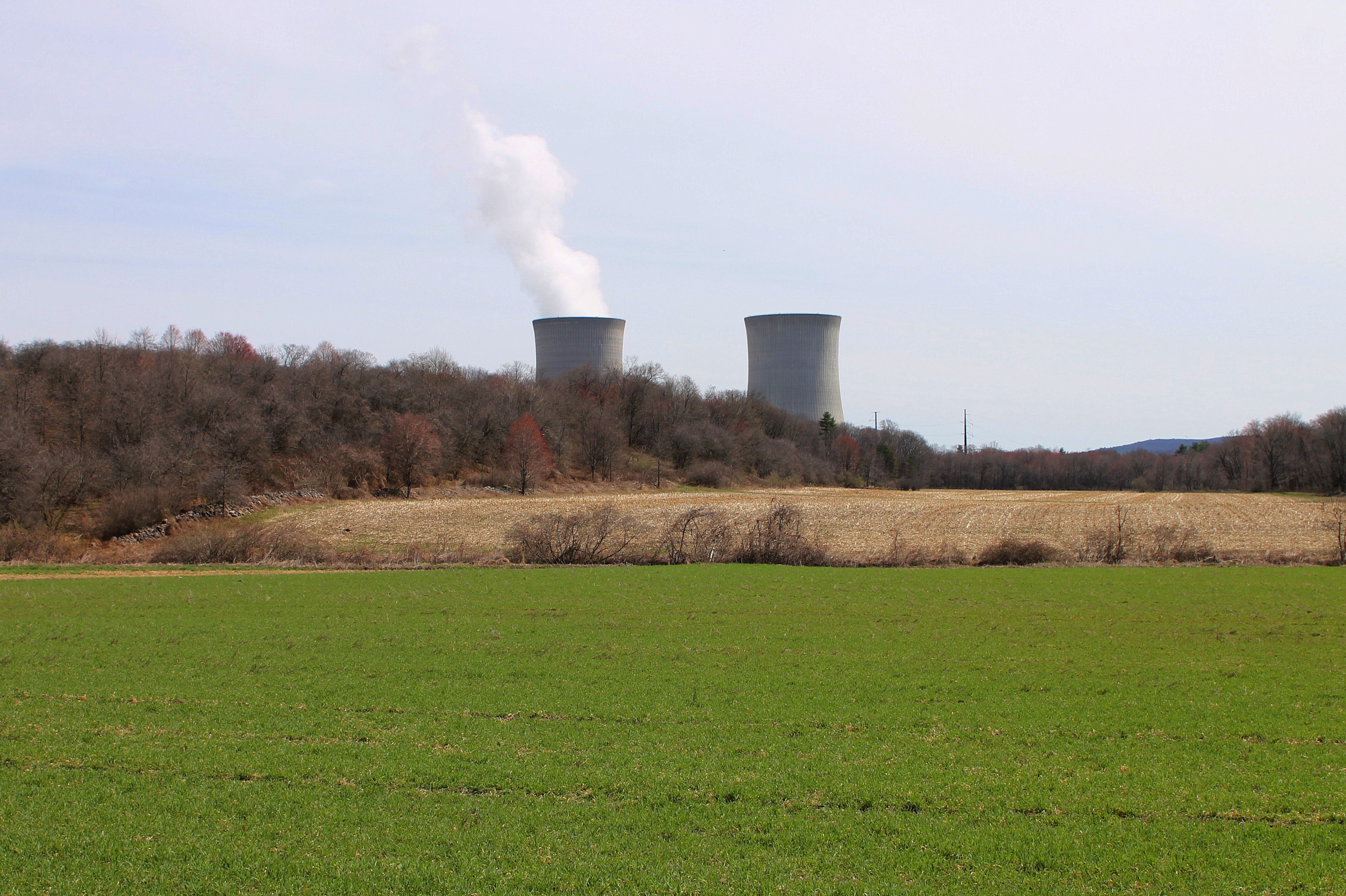 The two cooling towers of the Susquehanna Steam Electric Station rise behind trees and fields, one venting steam