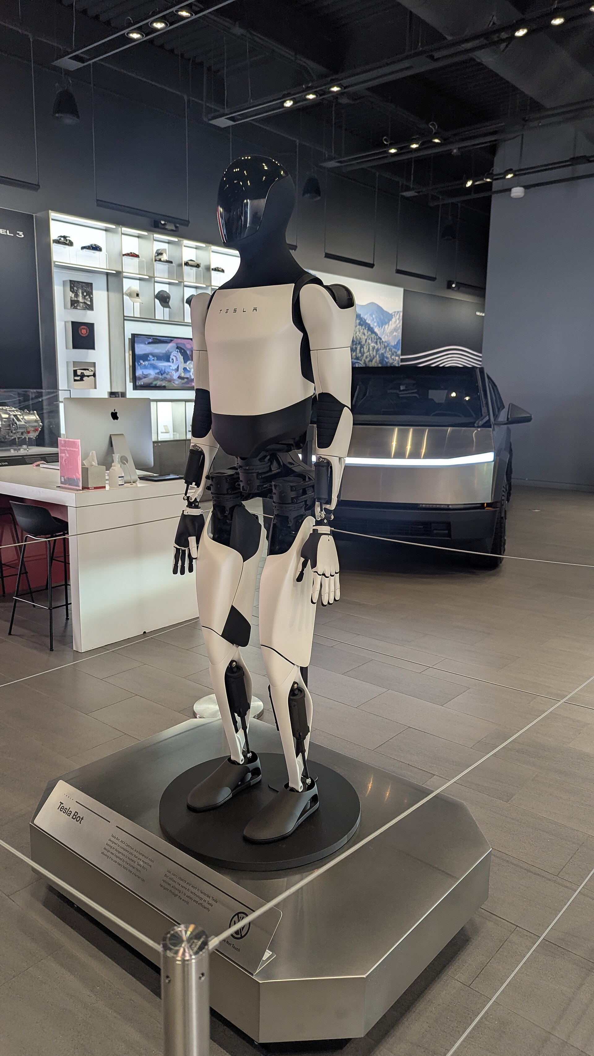 A Tesla Optimus robot on a showroom plinth, its white and black hands hanging open at its sides, a Cybertruck behind it.