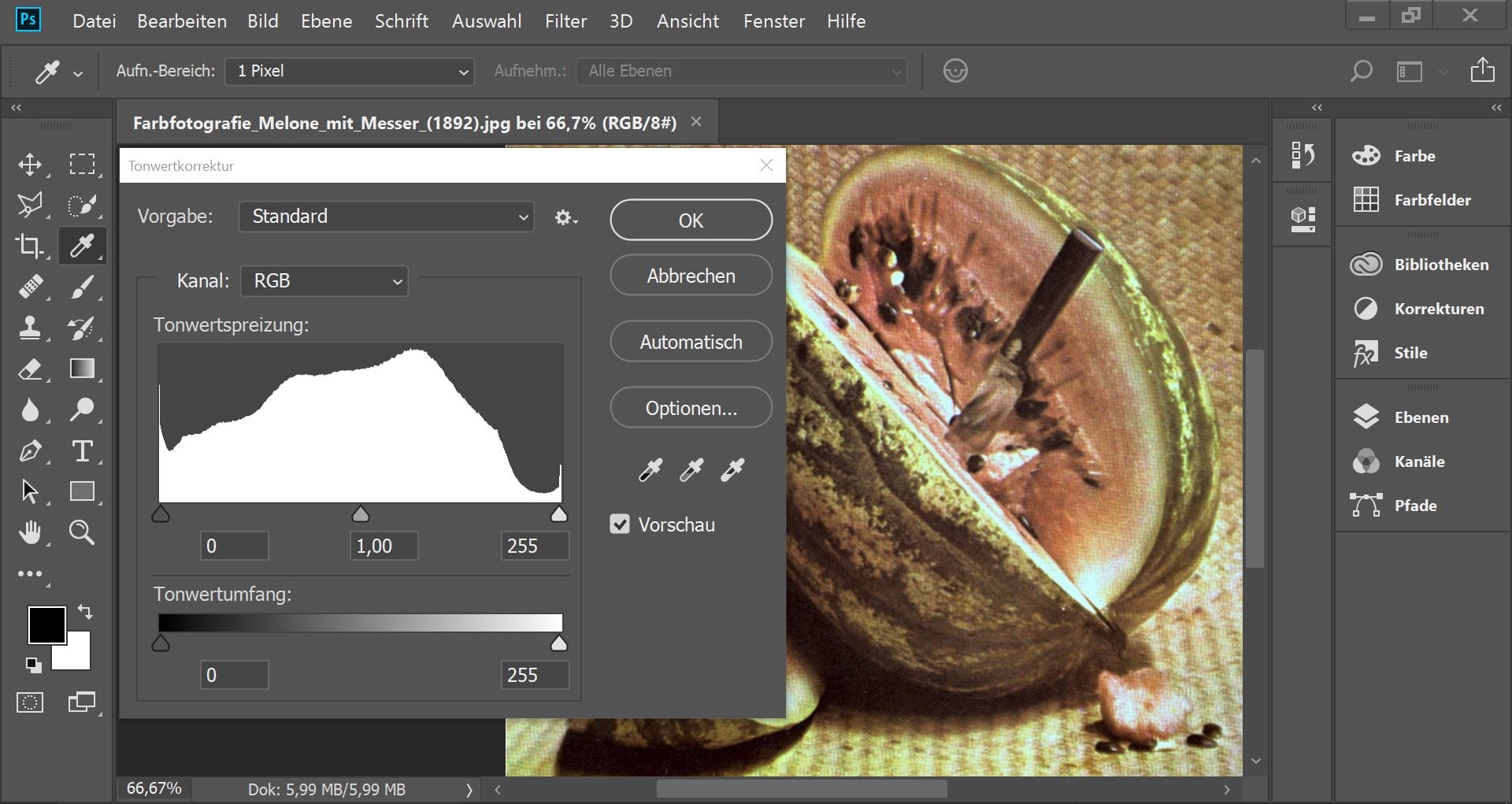 Adobe Photoshop's editing workspace, with its toolbar, panels and a levels dialog open over a restored 1892 color photograph, the interface Artcraft's free Photocraft clone sets out to reproduce