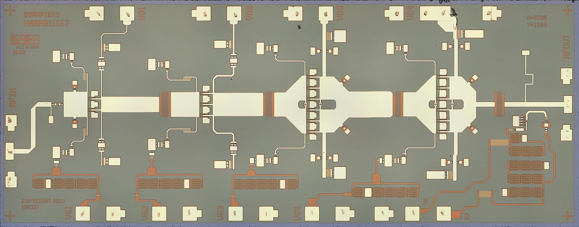 Die photograph of a MACOM MAAM-011167 amplifier chip under a microscope, with the MACOM name etched on the silicon