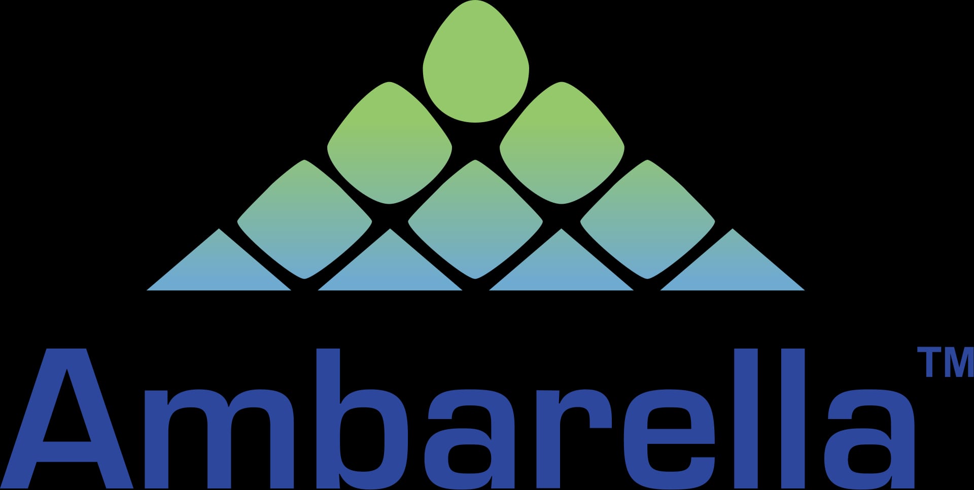 The Ambarella company logo, the subject of a reported takeover auction