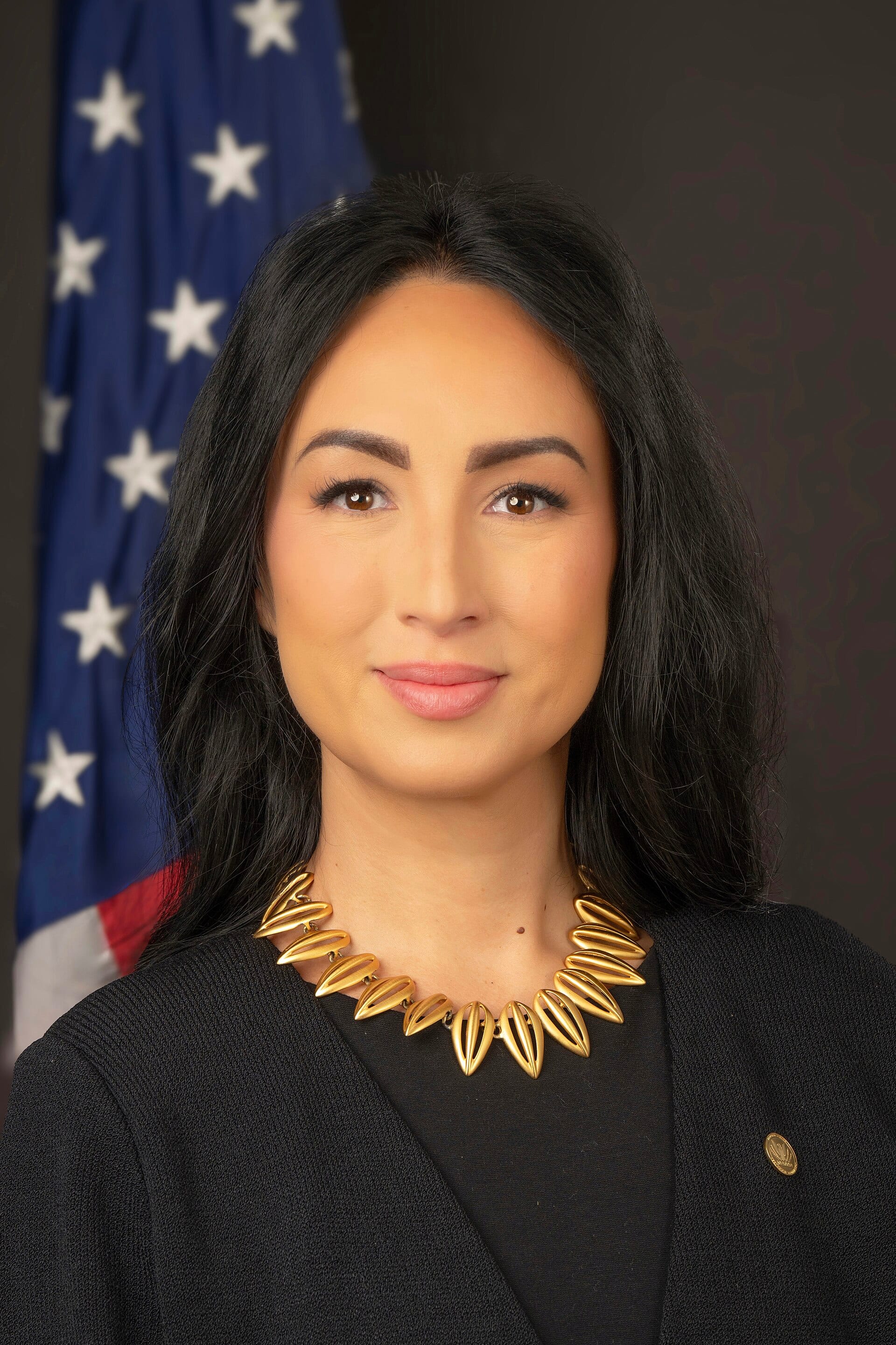 Laura Swett, chairman of the Federal Energy Regulatory Commission