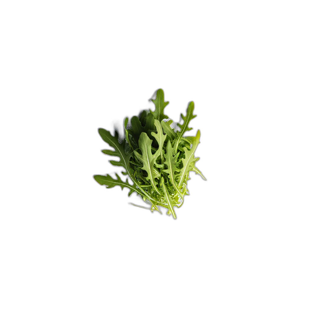 arugula