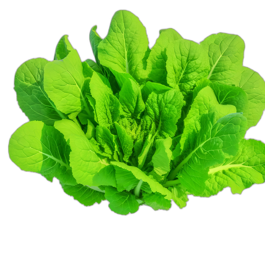 mustard greens