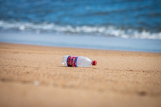 Beach Clean