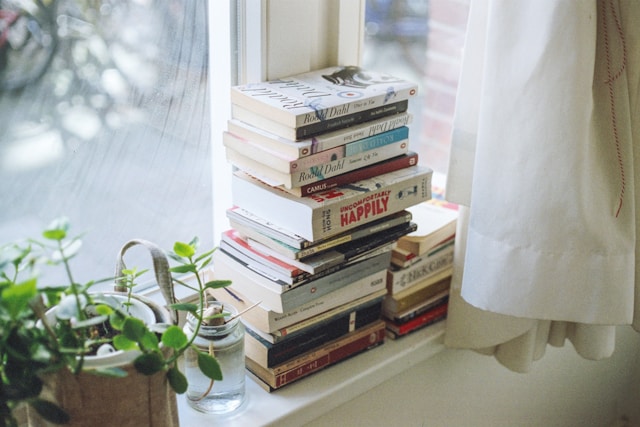 Woman Reading In Window 2