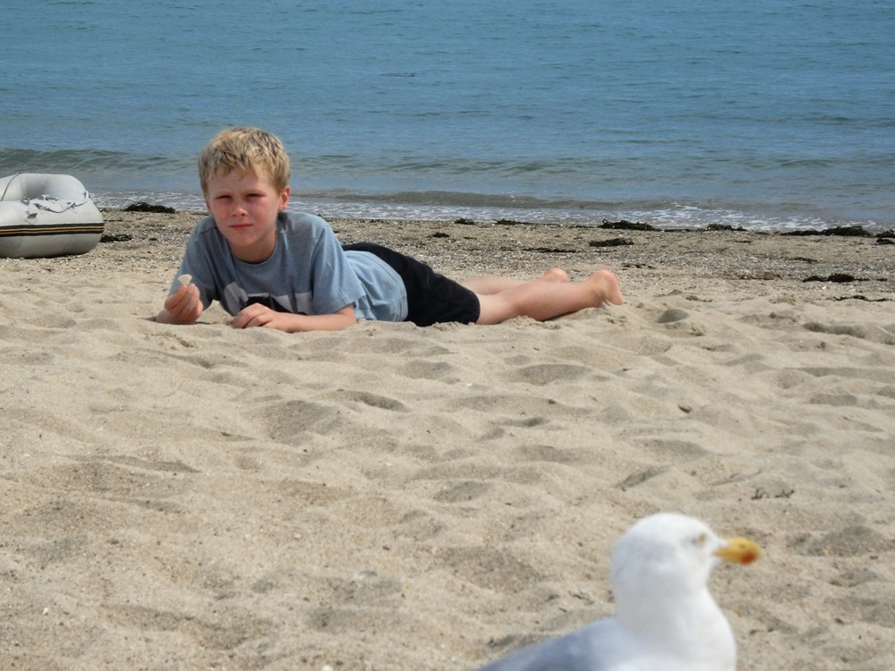 LewisHermBeach.JPG