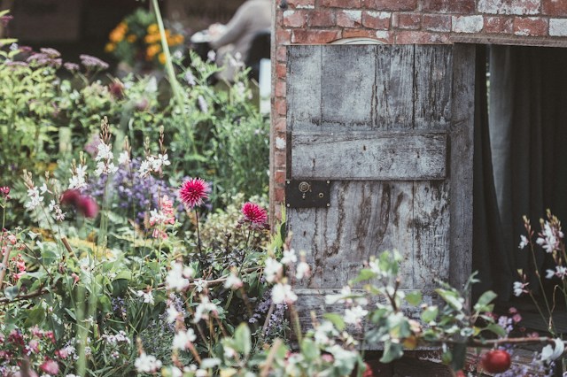 WildflowerShed.jpg