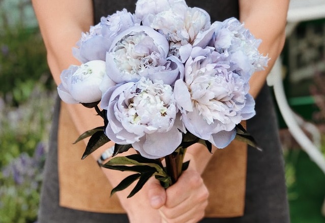 Woman Holding Flowers