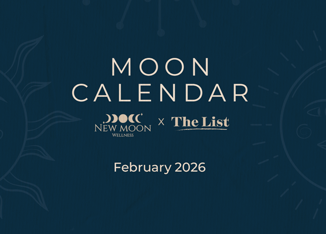 MoonCarousel_02_2026_Cover