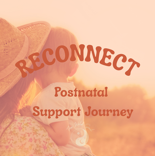 WildSoul_Reconnect_Square