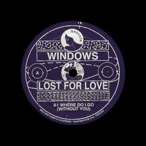 Windows Lost For Love Andarta 12" Vinyl