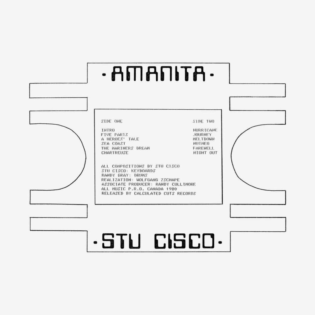 Stu Cisco Amanita Glossy Mistakes LP, Reissue Vinyl